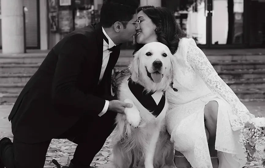 Amir & Salma عکاسی عروسی در فرانسه پاریس